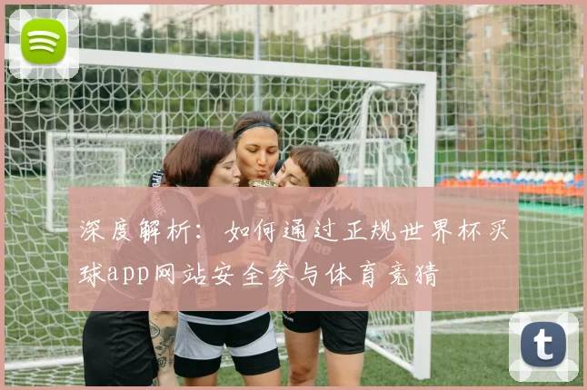 深度解析：如何通过正规世界杯买球app网站安全参与体育竞猜