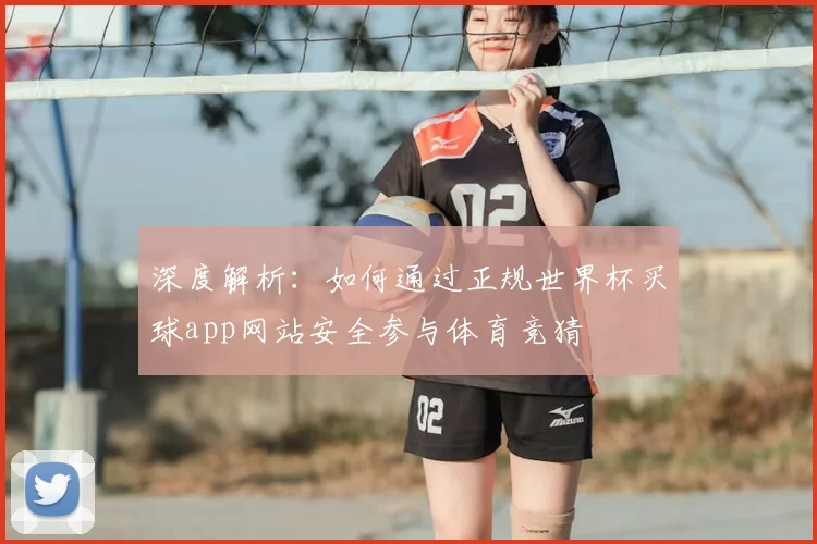 深度解析：如何通过正规世界杯买球app网站安全参与体育竞猜