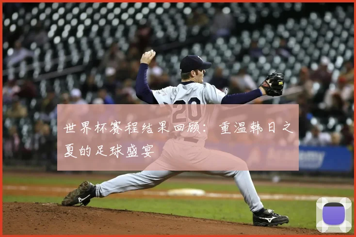 世界杯赛程结果回顾：重温韩日之夏的足球盛宴