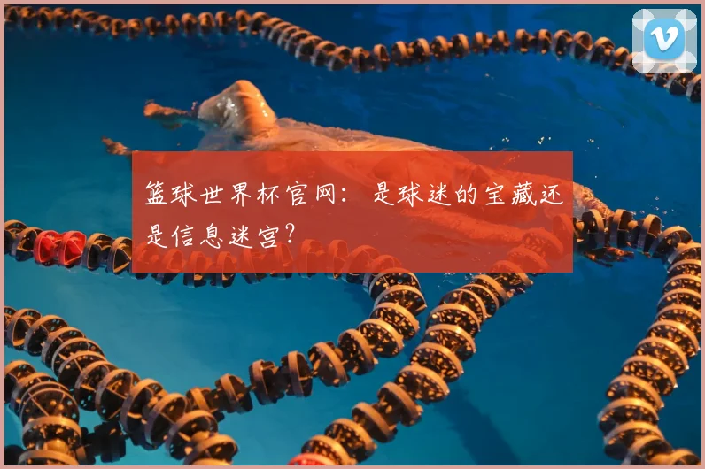 篮球世界杯官网：是球迷的宝藏还是信息迷宫？