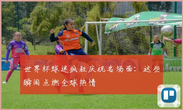 世界杯球迷疯狂庆祝名场面：这些瞬间点燃全球热情
