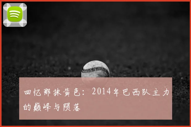 回忆那抹黄色：2014年巴西队主力的巅峰与陨落