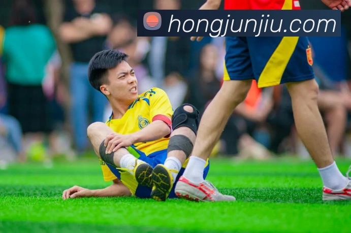 up体育官网平台生态图